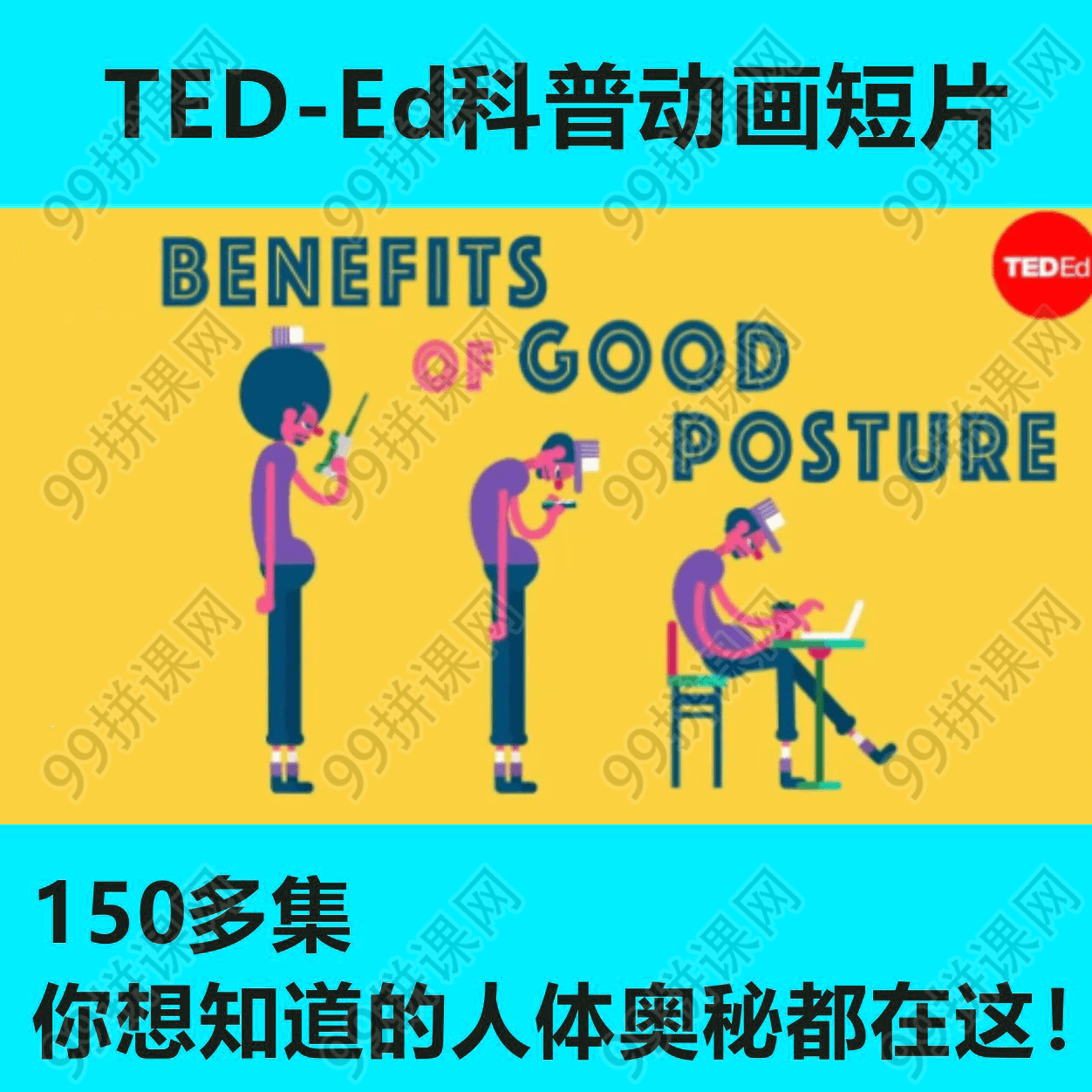 TED-ed人体奥秘早教视频课程科普资源幼少儿童科普知识-第四弹